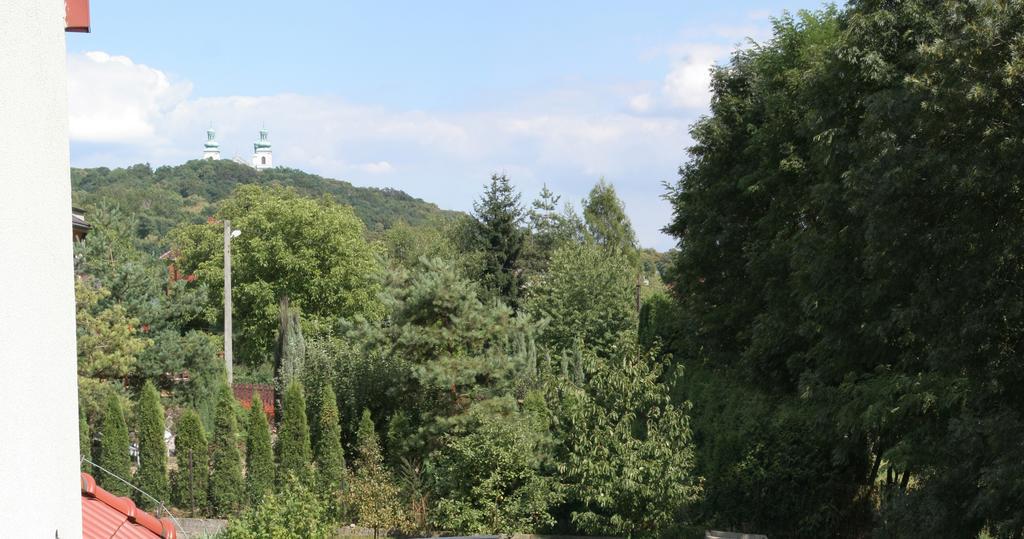 Villa Sofia Krakkó Kültér fotó